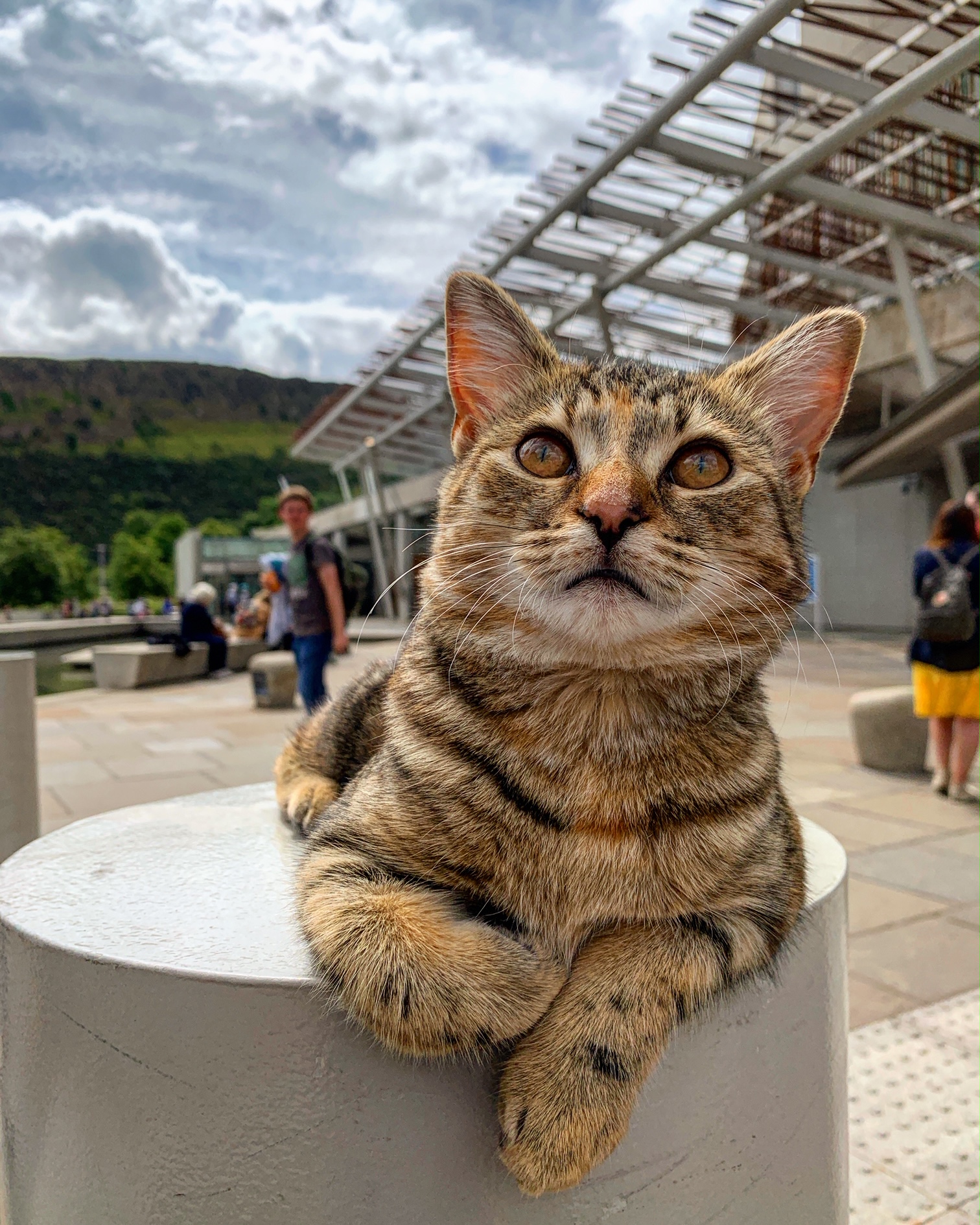 2019-07-19 (Quita the Kitty) Scottish Parliament
