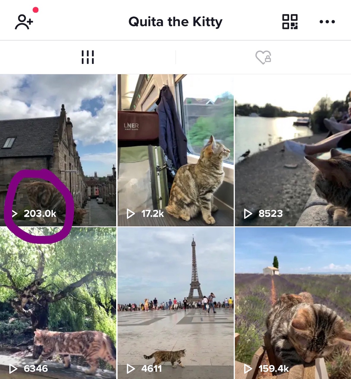 2019-08-01 (Quita the Kitty) TikTok Edinburgh video view count